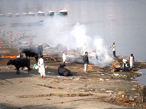 Burning the Dead - Harischanda Ghat