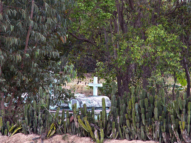 The Cactus Grave