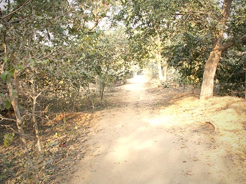 Path at Govardhan