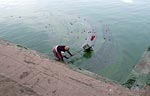 Cleaning Radha-kunda