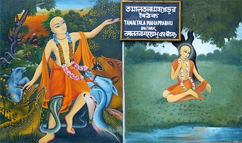 Paintings at Mahaprabhu-baithak